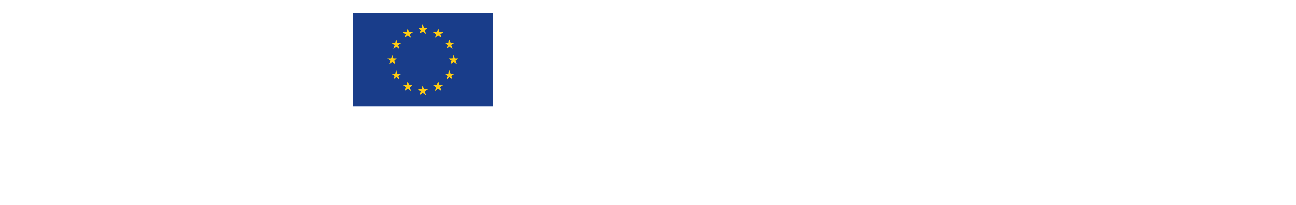 Logo Interreg - TransfireSaúde
